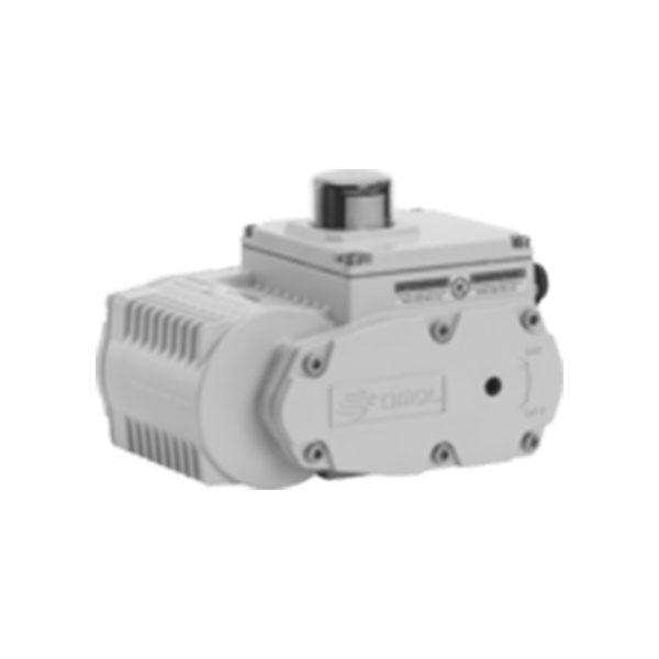 Attuatore elettrico tipo rotativo 